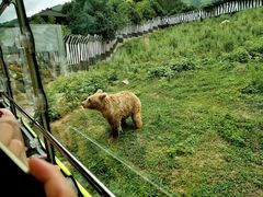 -西安秦岭野生动物园