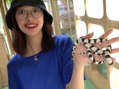 -藦茜花园宠物主题亲子互动体验馆(国顺东路店)