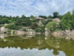 -北京西山国家森林公园