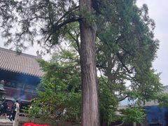 -红螺寺