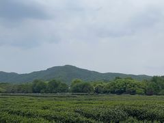 -中国茶叶博物馆(双峰馆区)