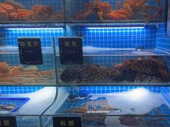 -鸽子侯·家宴·平价海鲜(市图书馆店)