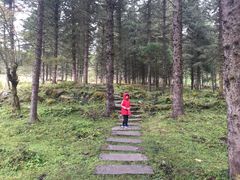 -硗碛藏寨·神木垒景区