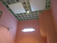 -狐狸和向日葵(北京路店)