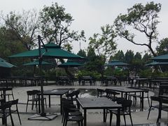 -静之湖湖畔餐厅