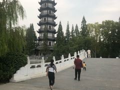 -桃花岛公园