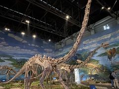 -自贡恐龙博物馆