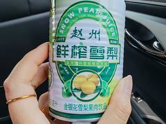 -赵州桥景区