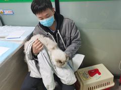 -半岛宠物医院24小时(科华中路店)