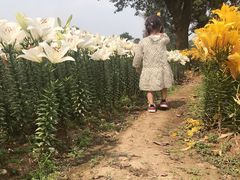 -保利石象湖景区