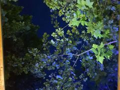 -春晖园度假酒店温泉