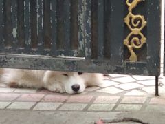 -张乐平故居