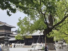 -香积寺