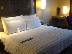 -青岛富力艾美酒店