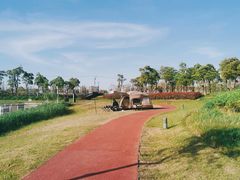 -春花秋色城市公园