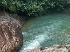 -广州白江湖森林公园