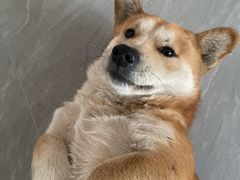 -南昌动物园