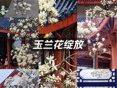 -堤角公园