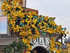 -阊门姚记豆浆(旧学前直营店)