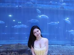 -华夏文旅西安度假区