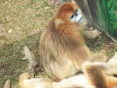 -西安秦岭野生动物园