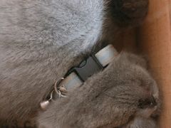 -iF摄影•全家福•证件照•形象照(南山店)