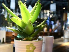 -繁花里音乐餐厅(新天地店)