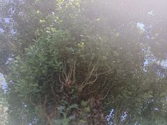 -张掖大佛寺景区