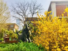 -天津五大道文化旅游区