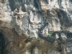 -四门塔风景区