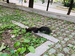 -北京植物园南门售票处