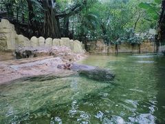 -广州长隆野生动物世界