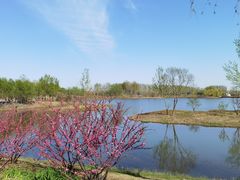 -东郊湿地公园
