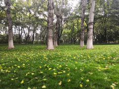 -玲珑塔公园