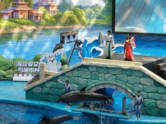 -海合安成都极地海洋公园