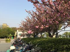 -江南大学(蠡湖校区)