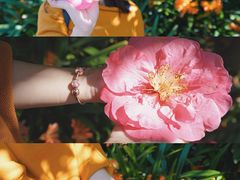 -墨尔本皇家植物园