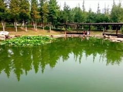 -前关湿地公园