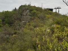 -紫金山山顶公园