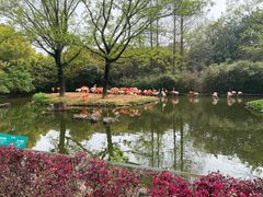 -上海野生动物园