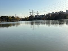 -九里河湿地公园