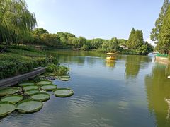 -黄兴公园