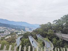 -福道