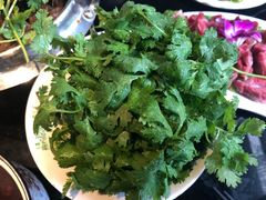 -葛记红焖羊肉(和平路形象店)