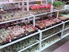 -KKV(深圳宏发大仟里店)