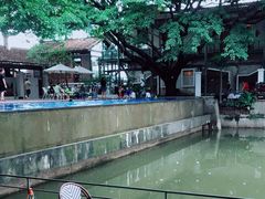 -喜洲吧·江畔老船厂·庭院餐厅(喜临院店)