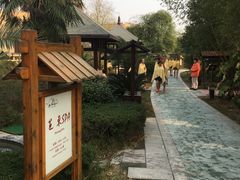 -咸宁万豪温泉谷度假区