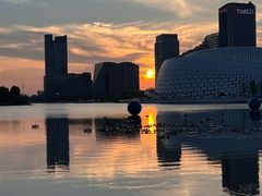 -金沙湖公园