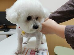 -瑞派康怡24h宠物医院·犬猫医疗中心·微创绝育(瑞景分院)
