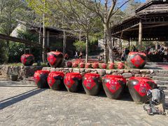 -姑婆山旅游区
